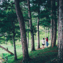 Rear view of man standing by trees in forest