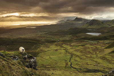 Scenic view of landscape