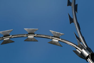 Low angle view of bird flying against clear blue sky