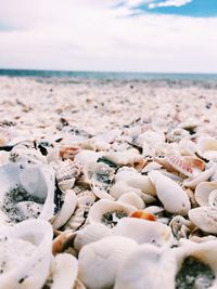 Close-up of pebbles on beach against sky