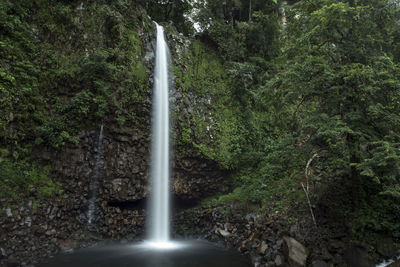 Scenic view of waterfall in forest