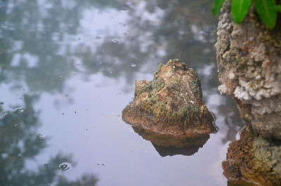 Close-up of reflection in water