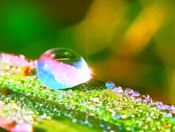 Close-up of bubbles with ball in water
