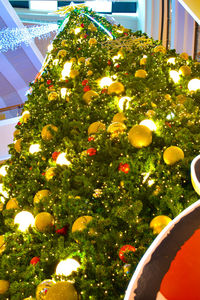 Low angle view of christmas tree