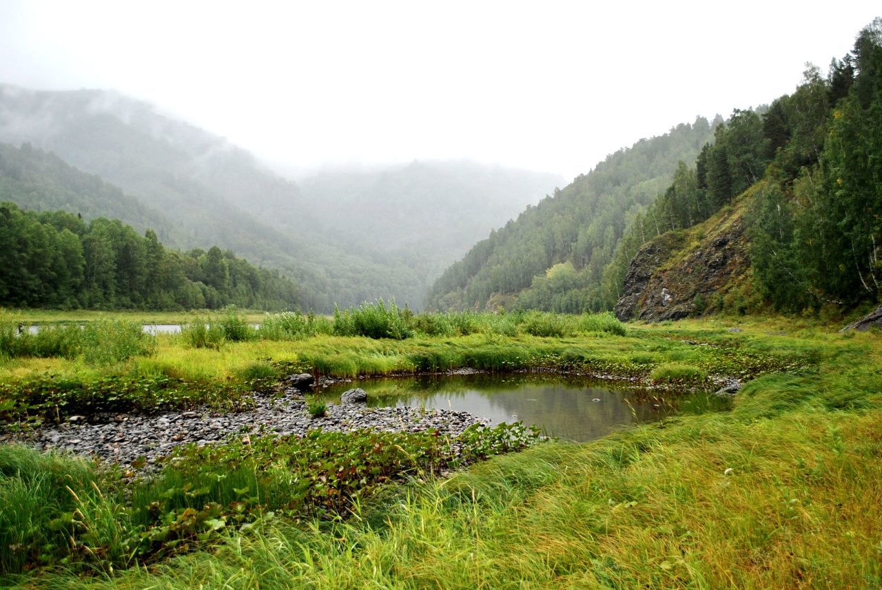 beauty in nature, water, plant, tranquility, scenics - nature, tranquil scene, green color, tree, nature, mountain, environment, growth, sky, no people, landscape, non-urban scene, day, lake, outdoors