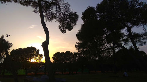 Silhouette trees on field against sky at sunset