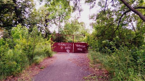 Trees in park