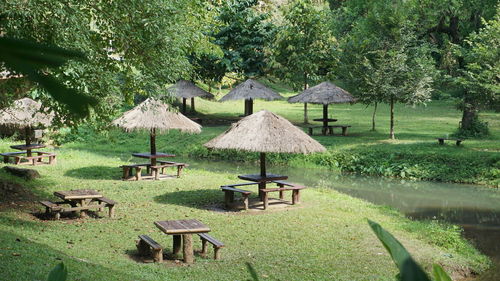 Thatched parasols and picnic tables on grassy field