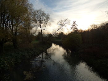 Reflection of trees in water against sky