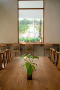 Close-up of plant on table at home
