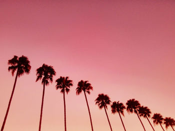 Low angle view of palm trees against romantic sky