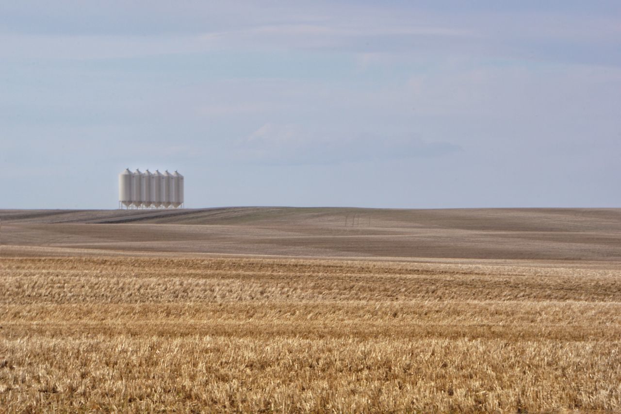 Field with grain bins