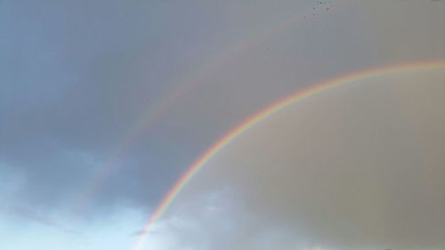 Low angle view of rainbow over trees