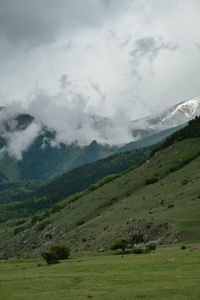 Scenic view of landscape against cloudy sky