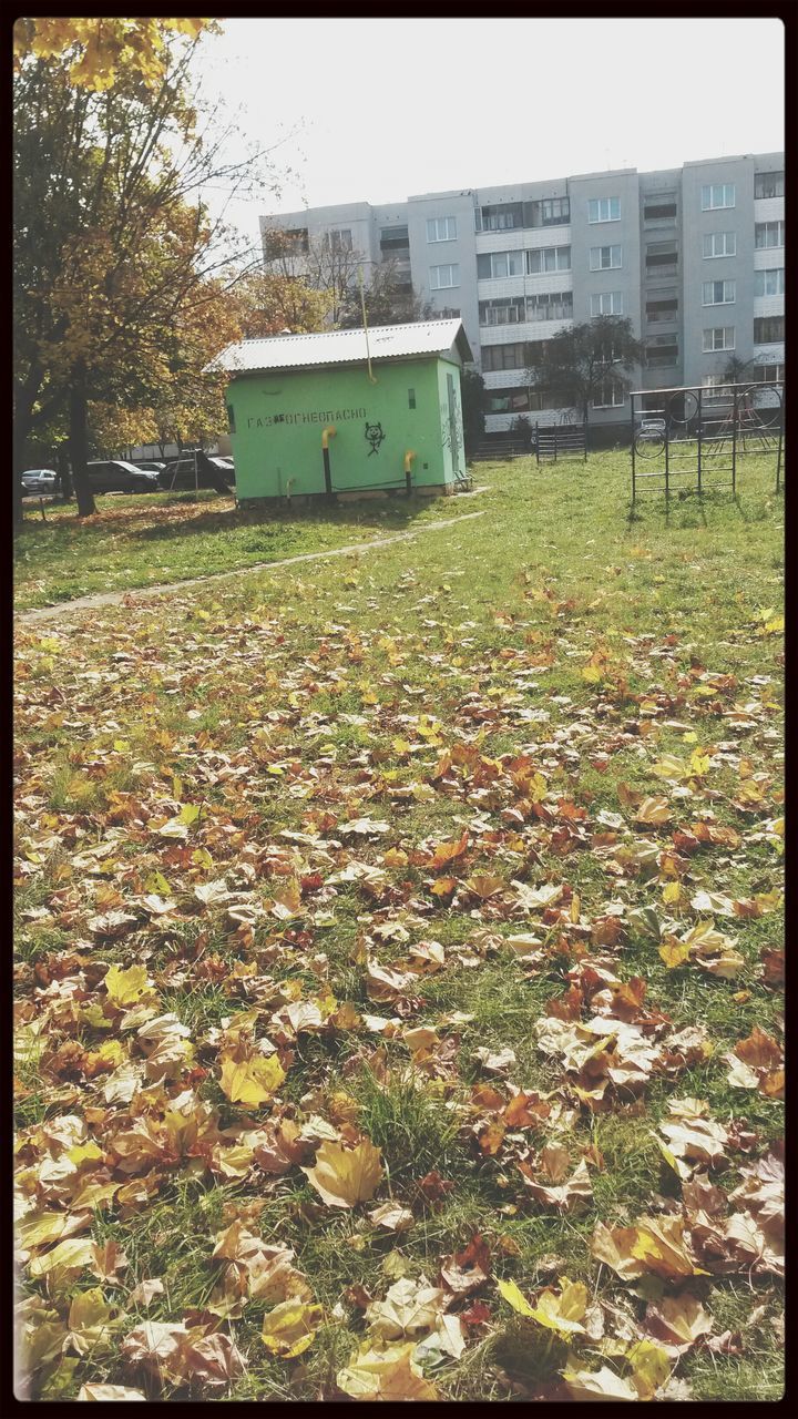 transfer print, building exterior, architecture, auto post production filter, built structure, house, residential structure, grass, residential building, field, city, day, outdoors, tree, autumn, no people, building, residential district, clear sky, high angle view