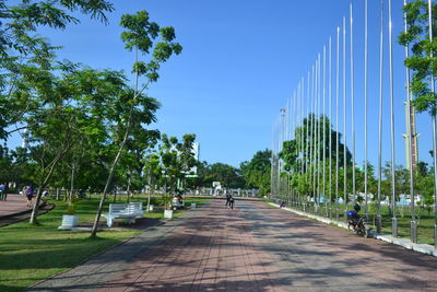 Footpath amidst trees in park against blue sky
