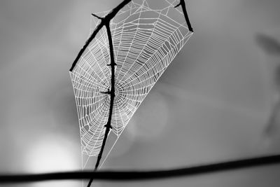 Close-up of spider web on metal