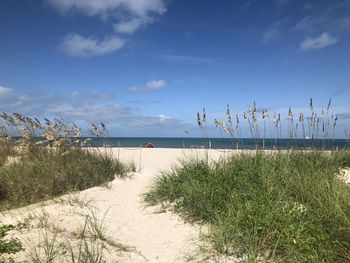 A view of cape canaveral mid afternoon