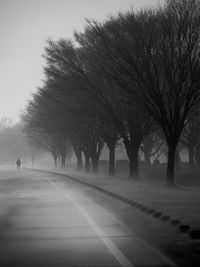 Bare trees by road against sky