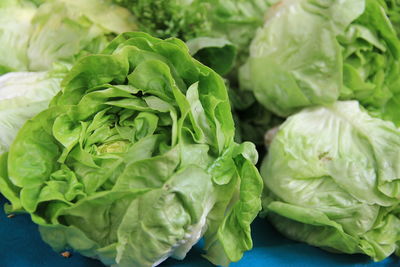Close-up of fresh green vegetables
