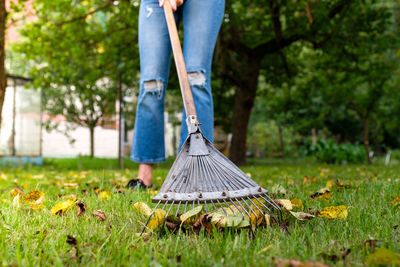 Low section of woman standing on grass