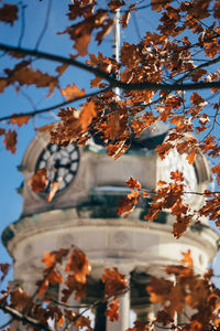 Low angle view of tree against historical building