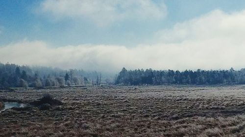 Scenic view of landscape against sky