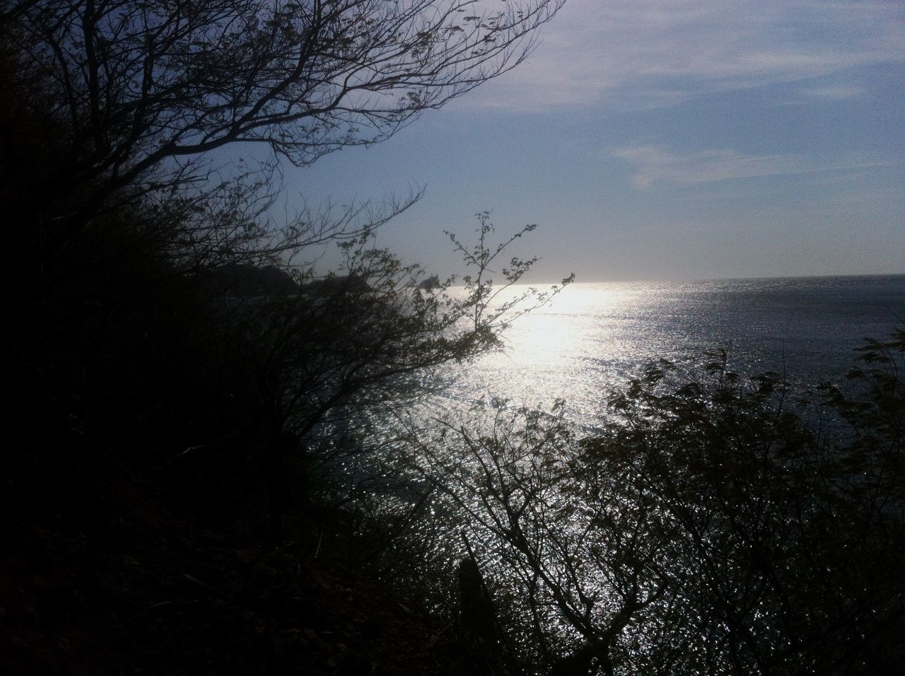 water, tranquil scene, tranquility, scenics, sky, beauty in nature, sunset, nature, sea, horizon over water, idyllic, reflection, tree, silhouette, sun, lake, cloud - sky, non-urban scene, branch, rippled