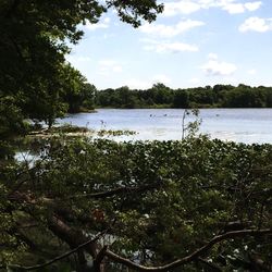 Scenic view of lake against sky