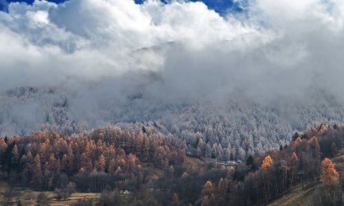 Panoramic view of trees and mountains against sky