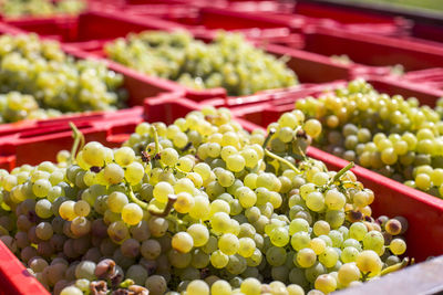 Fruits for sale at market stall