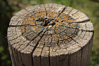 Close-up of old wood post