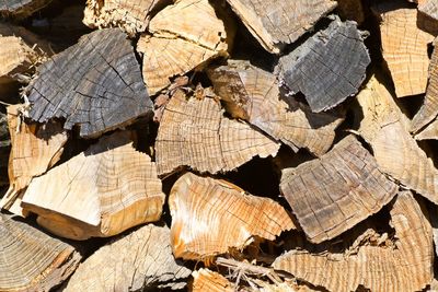 Full frame shot of tree stump in forest