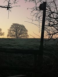 Silhouette bare trees on field against sky during sunset