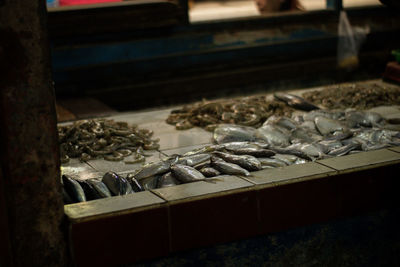 High angle view of fish for sale at market