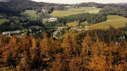 High angle view of trees on field