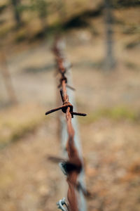 Close-up of wind outdoors