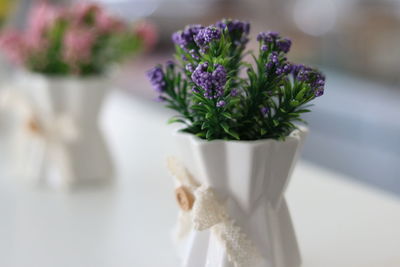 Close-up of white flower vase