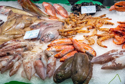 Close-up of seafood