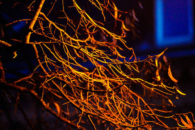 Close-up of illuminated lights