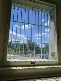 View of trees seen through window