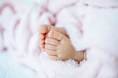 Low section of baby feet in blanket