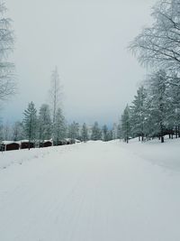 Snow covered land and trees against sky