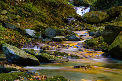 Autumn mountain streams in japan