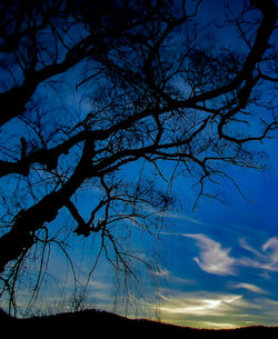 Low angle view of silhouette tree against sky at sunset