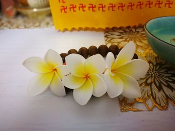 Close-up of yellow flowering plant on table