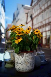 Close-up of yellow flower pot on table