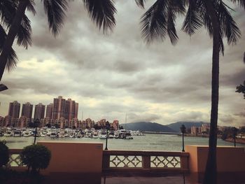 Palm trees by sea against cloudy sky