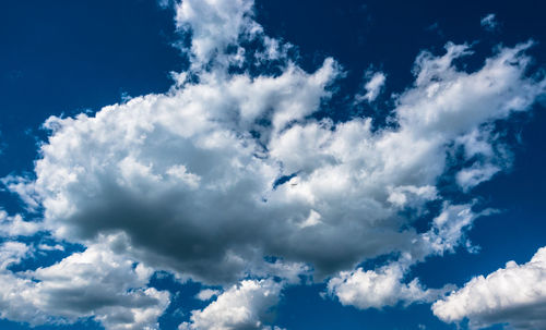 Low angle view of birds flying against blue sky