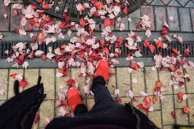 Low section of man standing on street during autumn